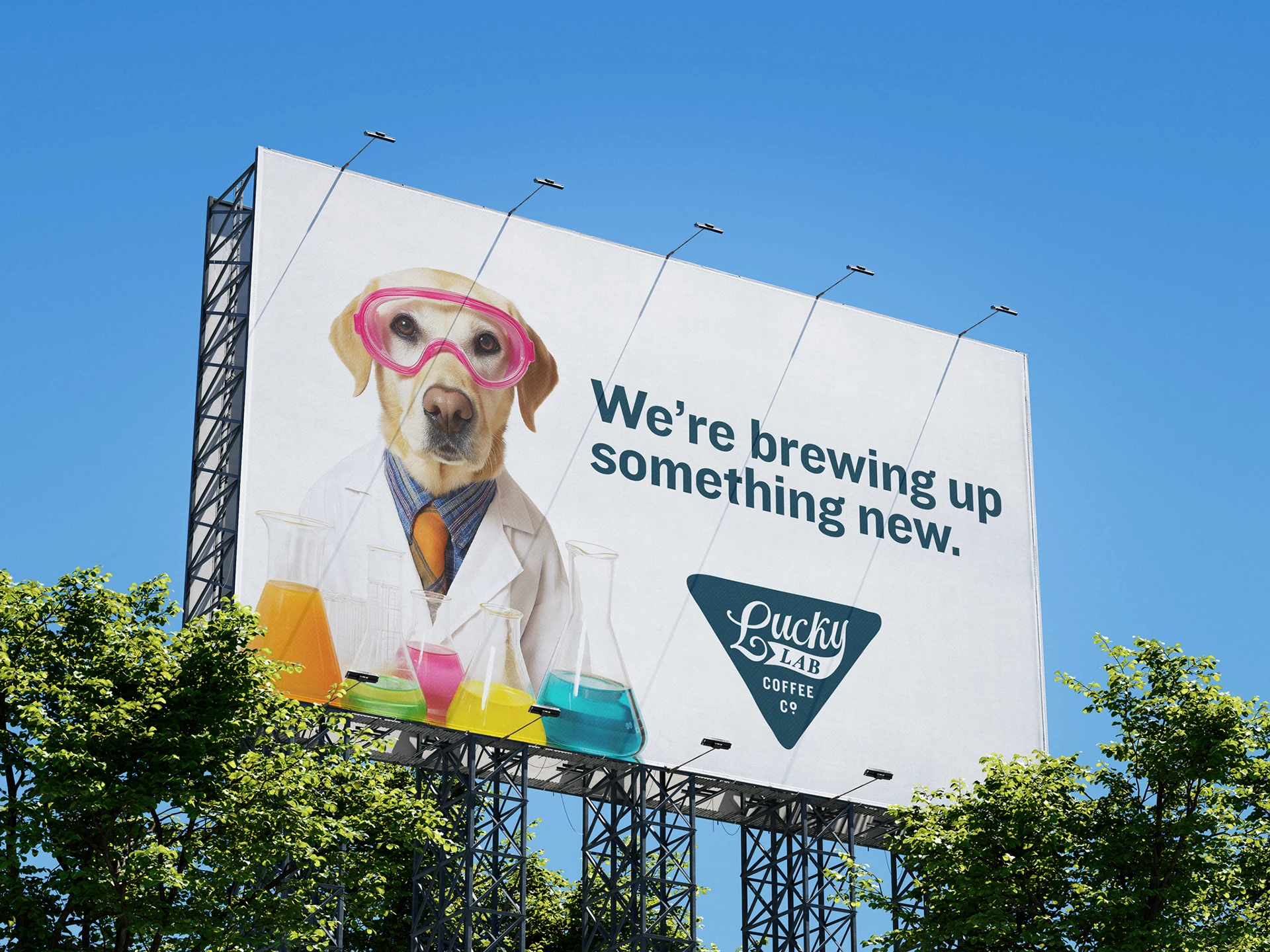Samples: Lucky Lab Coffee Co. — project image 10